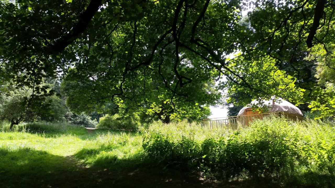 Rock Farm Slane - Glamping Ξενοδοχείο Εξωτερικό φωτογραφία